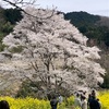 週間トレーニングサマリ　3月28日 〜 4月3日