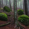 ソバカド山　鶏冠山（黒川山）