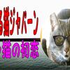 しゃべる猫ジャパーン、トラ猫の初恋