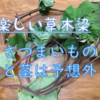 【草木染】さつまいもの葉茎を試す