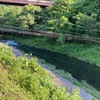6月5日(木)秩父フライフィールドの河川情報