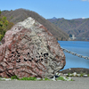 新緑の写真撮影にお出かけ