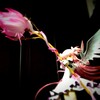 2013年最初の雑文