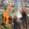 日影林道から北尾根利用で高尾山山頂に行きいろはの森を下山してきました。