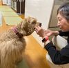 近畿、東海が梅雨入り　近畿は統計史上最も早く