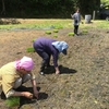 不耕起の田んぼにさようなら（2019年5月18・19日）