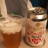 GILGAMESH BREWING Heartful HOPS IPA