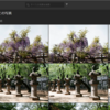Web版Lightroomの便利な使い方【Lightroom web ギャラリー】