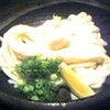 讃岐うどん「小麦の実り」摂津本山