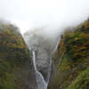 称名滝　今日の紅葉は？