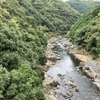 久しぶりの愛宕山