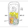 簡単弁当と冬のニット問題