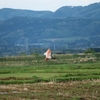 日本海に怪魚あぶらぎっちょを追う！！！（新潟県佐渡島）　