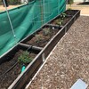 家庭菜園に植え付け記録