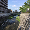 色即是空、空即是色