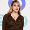 元2NE1のCL、母親(ホンユラさん)が心臓麻痺で死去…享年53歳