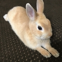 子育てあれこれ