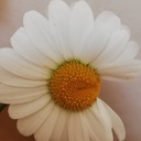 子どもに育ててもらってます。