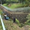 「桜切る馬鹿、梅切らぬ馬鹿」