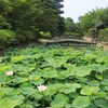 京都「東寺・東本願寺」2025