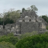 メキシコ/カラクムル Calakmul 遺跡