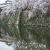 番外編･姫路城の桜
