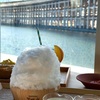 【大阪・関西万博🚩】サントリーパークカフェは大屋根リングを眺められる穴場カフェ！疲れたら美味しいかき氷🧊で休憩