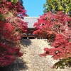 【京都】『神護寺』に行ってきました。 京都紅葉 そうだ京都行こう 女子旅