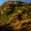 奈良の紅葉スポット。天川のもみじまつりが始まったみたらい渓谷と洞川龍泉寺。