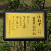 万葉歌碑を訪ねて（その１５２１，１５２２，１５２３）―静岡県浜松市浜北区　万葉の森公園（P１０、P１１、P１２）―万葉集　巻八　一四八五、巻一　一六六、巻十三　三三一四