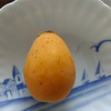 今年の受験生は予習して備えよう