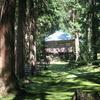 20230805福井県勝山市　平泉寺白山神社