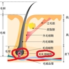 脱毛事情の闇！脱毛で失敗しないための方法！これを見れば全て理解できます！