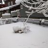 前回のブログの続きです。一番うれしかったことは、これにつきます。