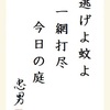 逃げよ蚊よ一網打尽今日の庭