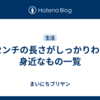 25センチの長さがしっかりわかる身近なもの一覧