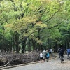 代々木公園ランニング〜1ヶ月ぶりに走りました〜