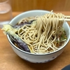 そばうどん　新橋　うさぎや　その三　〜茄子のそばを極めてみる　その三十三〜
