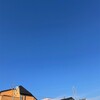 きなこ、くつろぐ