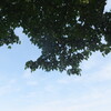 治癒へ／健康法大全・36