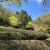 摩耶登山道