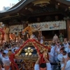 #湯島天神例大祭#宮入