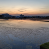田んぼの水