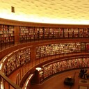 図書館の本を読む