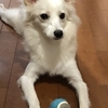 肌断食