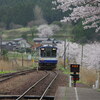 のと鉄道「西岸駅」の桜