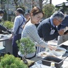 初級コース番外編、五葉松の同窓会＜後編＞