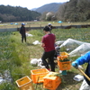 2016年4月6日晴れ