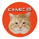 にゃんにゃんねこさんのブログ～25匹の多頭飼い猫生活【にゃんねこ25】