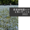 長居植物園のネモフィラを見に行ってきました2022